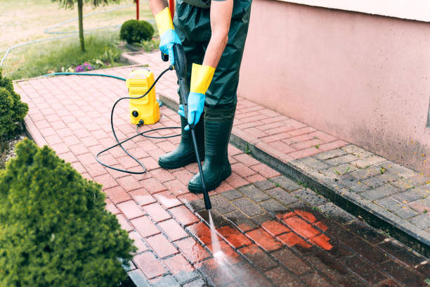 Best Patio and Deck Pressure Washing  in Lake Crystal, MN