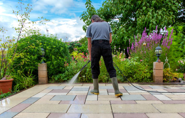 Best Winterizing Services  in Lake Crystal, MN